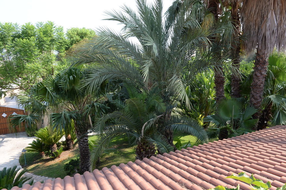 Il Giardino Delle Jacaranda Bed & Breakfast Talsano Exterior foto