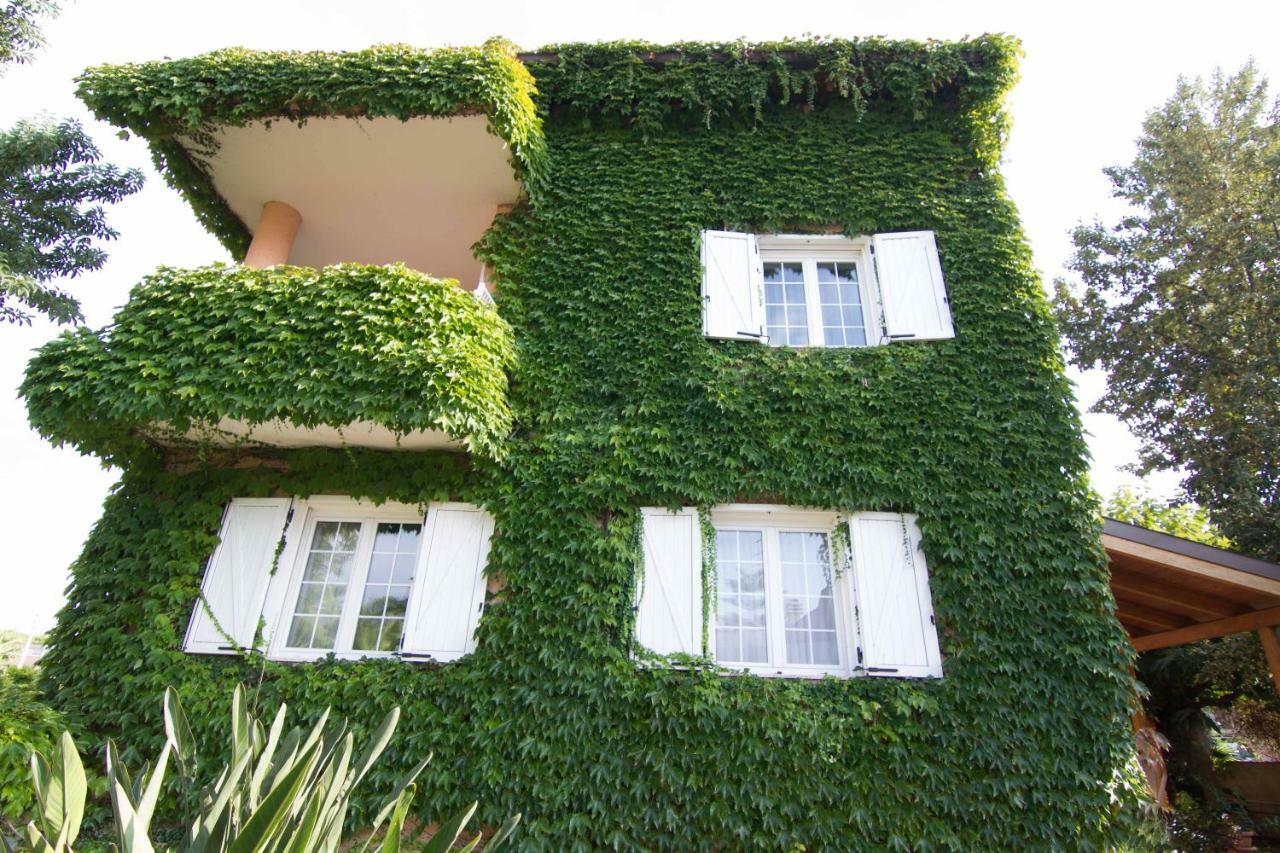 Il Giardino Delle Jacaranda Bed & Breakfast Talsano Exterior foto